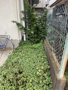 雑草が生えてしまい困っているN様邸