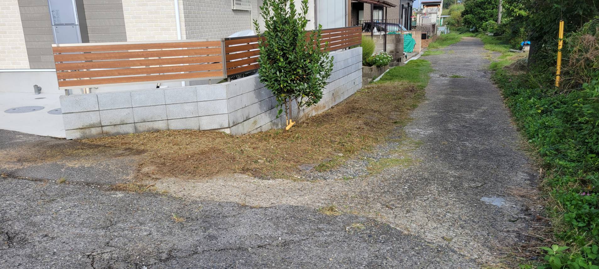 きれいに草刈りをして除草剤も散布し、きれいな外観に