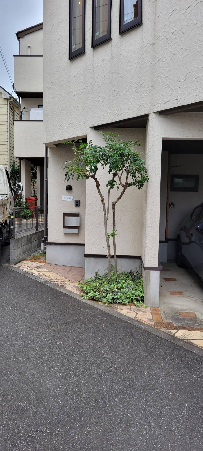 シンボルツリーの剪定