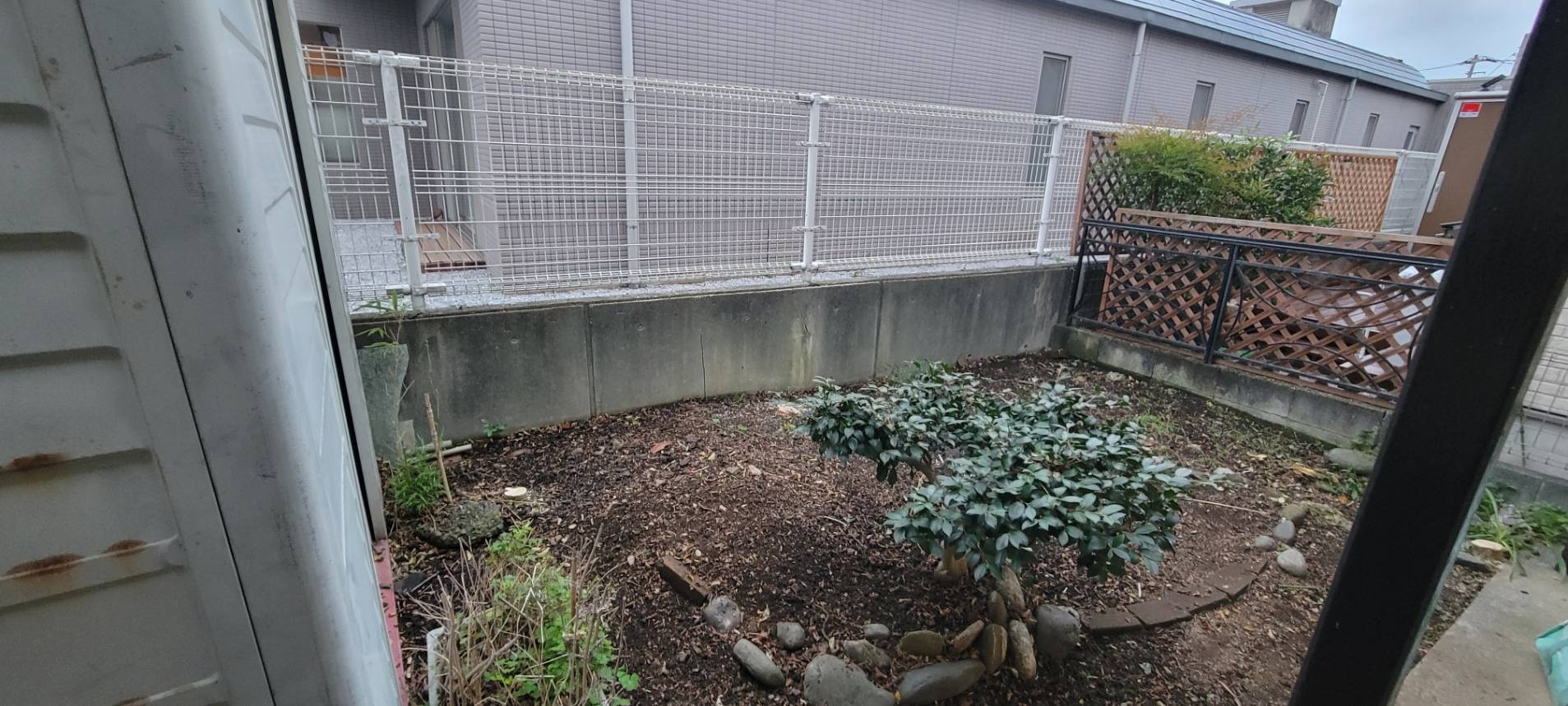 きれいに剪定してスッキリ
