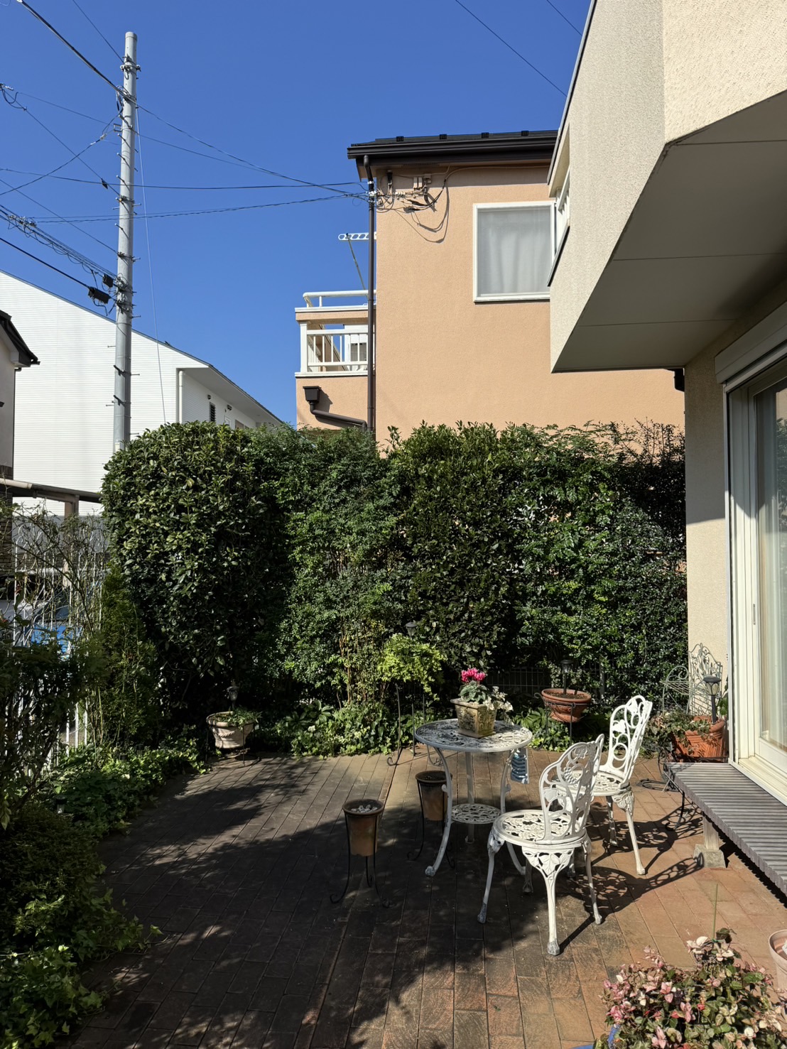 きれいに剪定してスッキリ