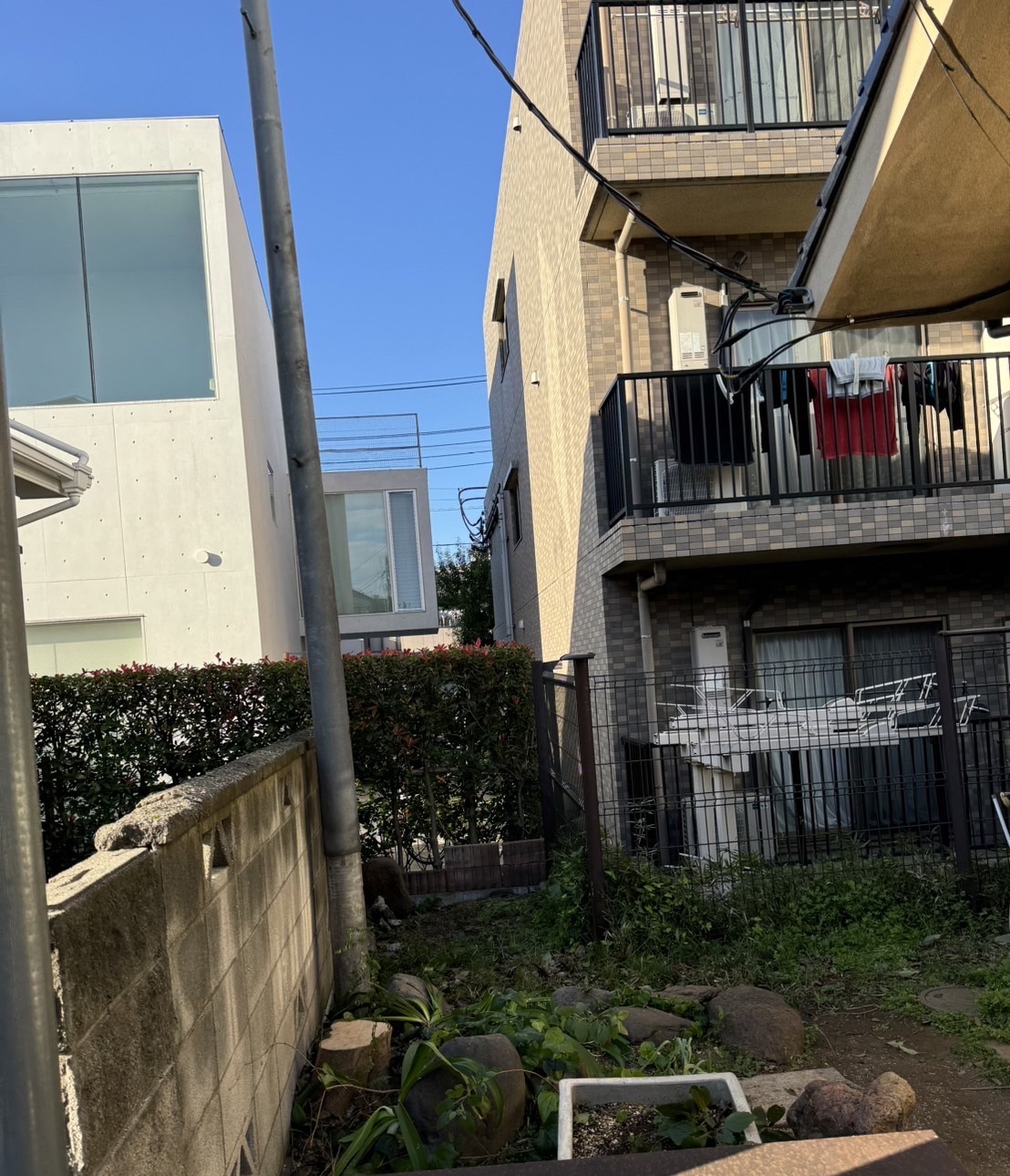 伐採して安全になりました
