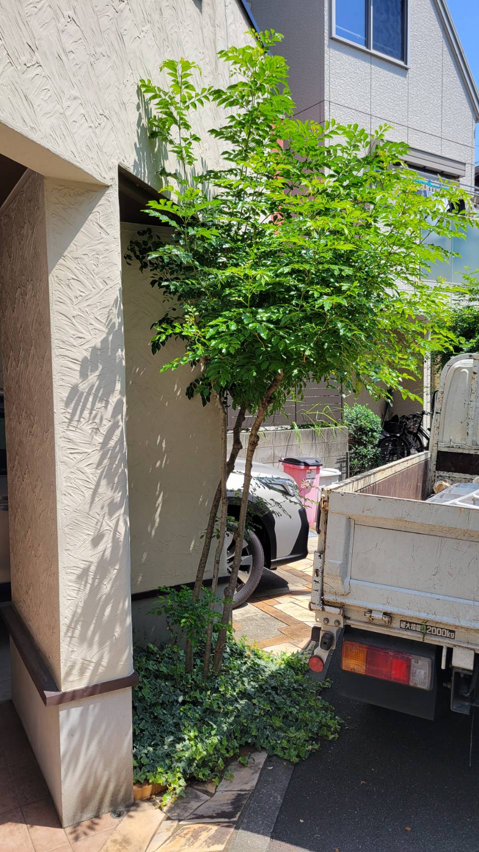 夏を乗り越えたい