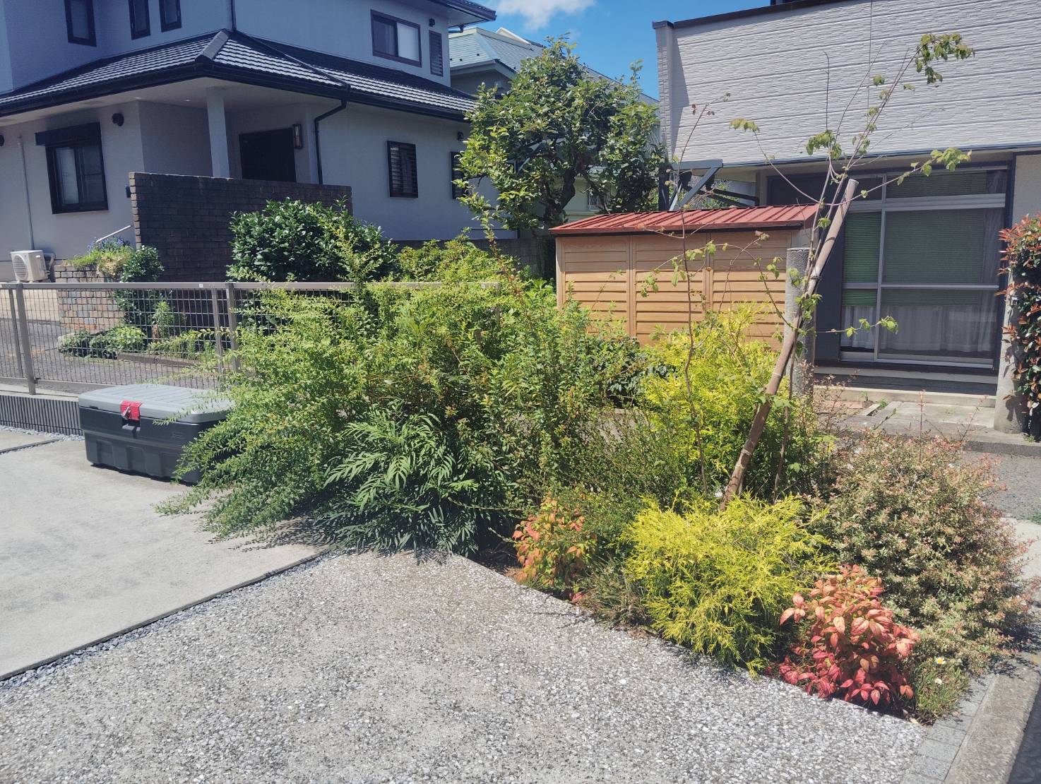 色とりどりのキレイな植栽も一年でもさもさに…