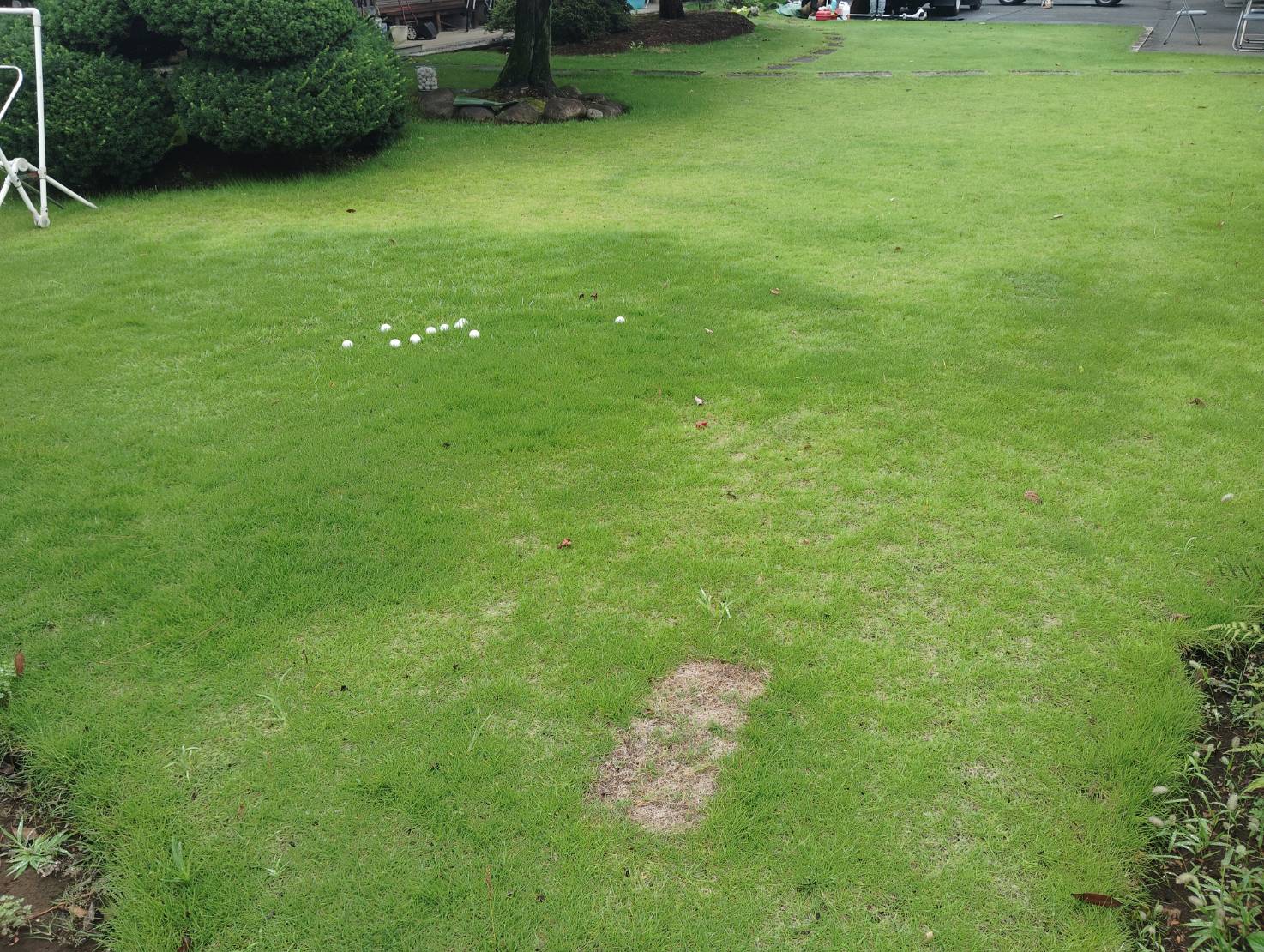 ゴルフの練習をされている芝