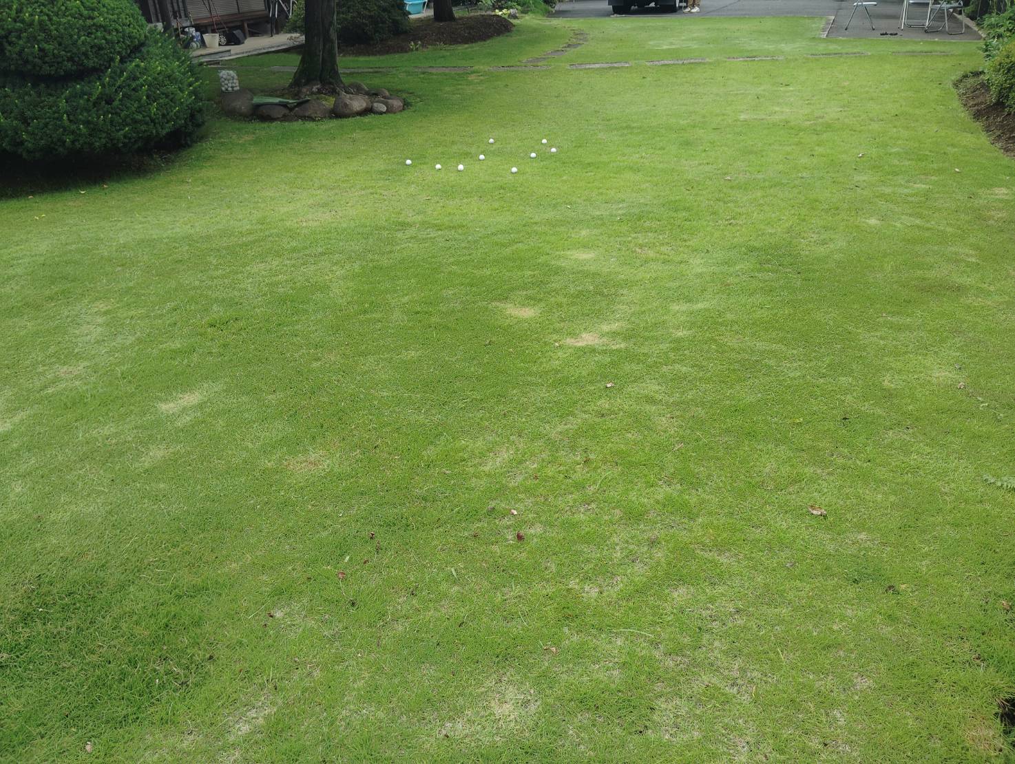 均一に整えられた芝