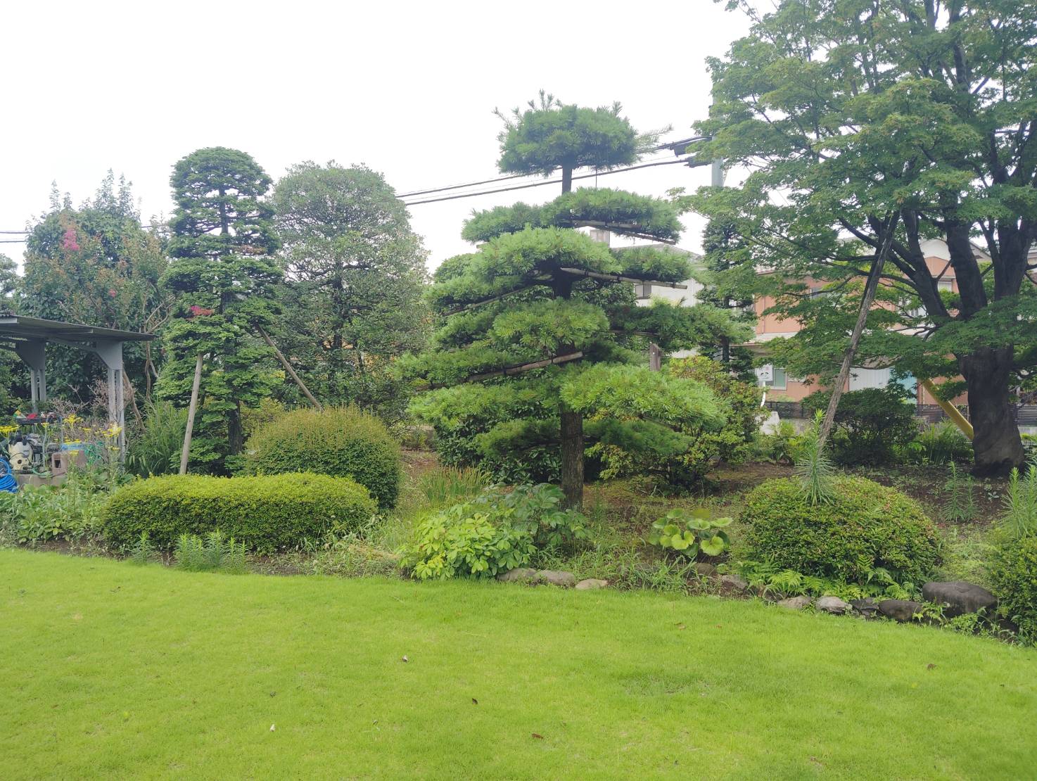 お手入れされたお庭の除草