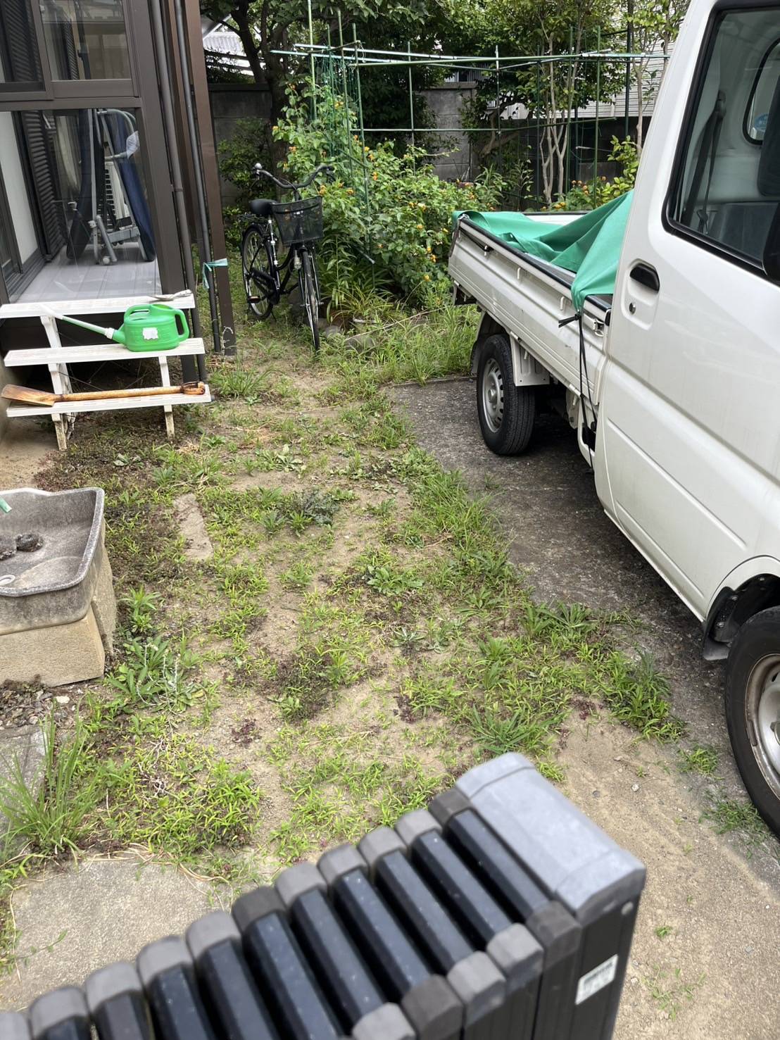 庭全体に生えてしまった雑草