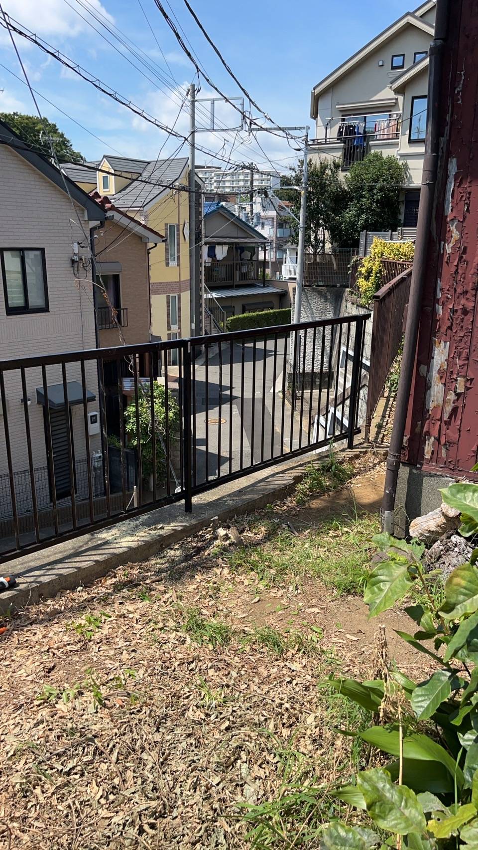 太く硬いツタをキレイに除去