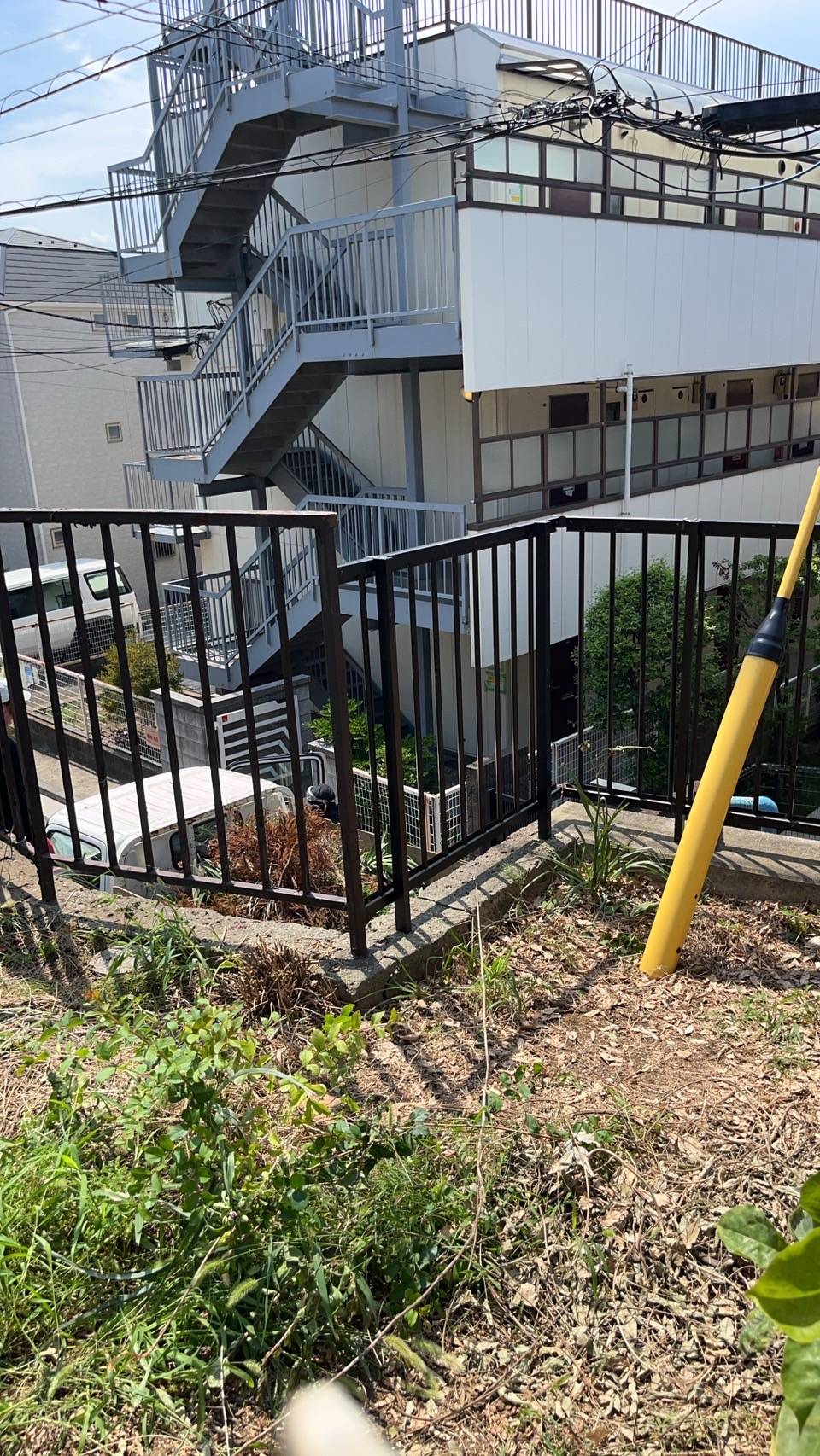 庭木も伐採しました