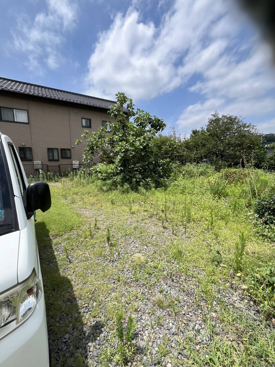 雑草が伸びてしまって手をつけられない