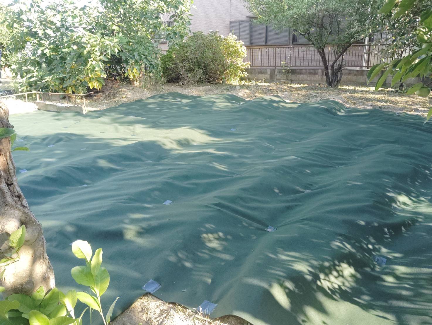 除草して防草シートも施工