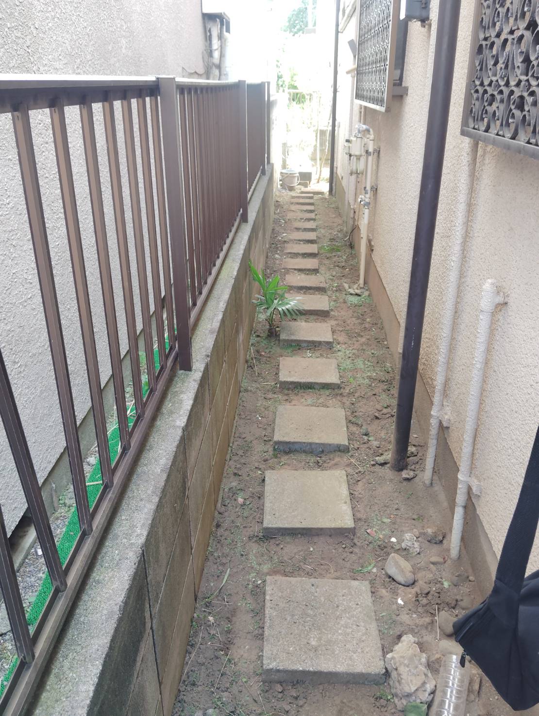 雑草が伸びてしまって手をつけられない