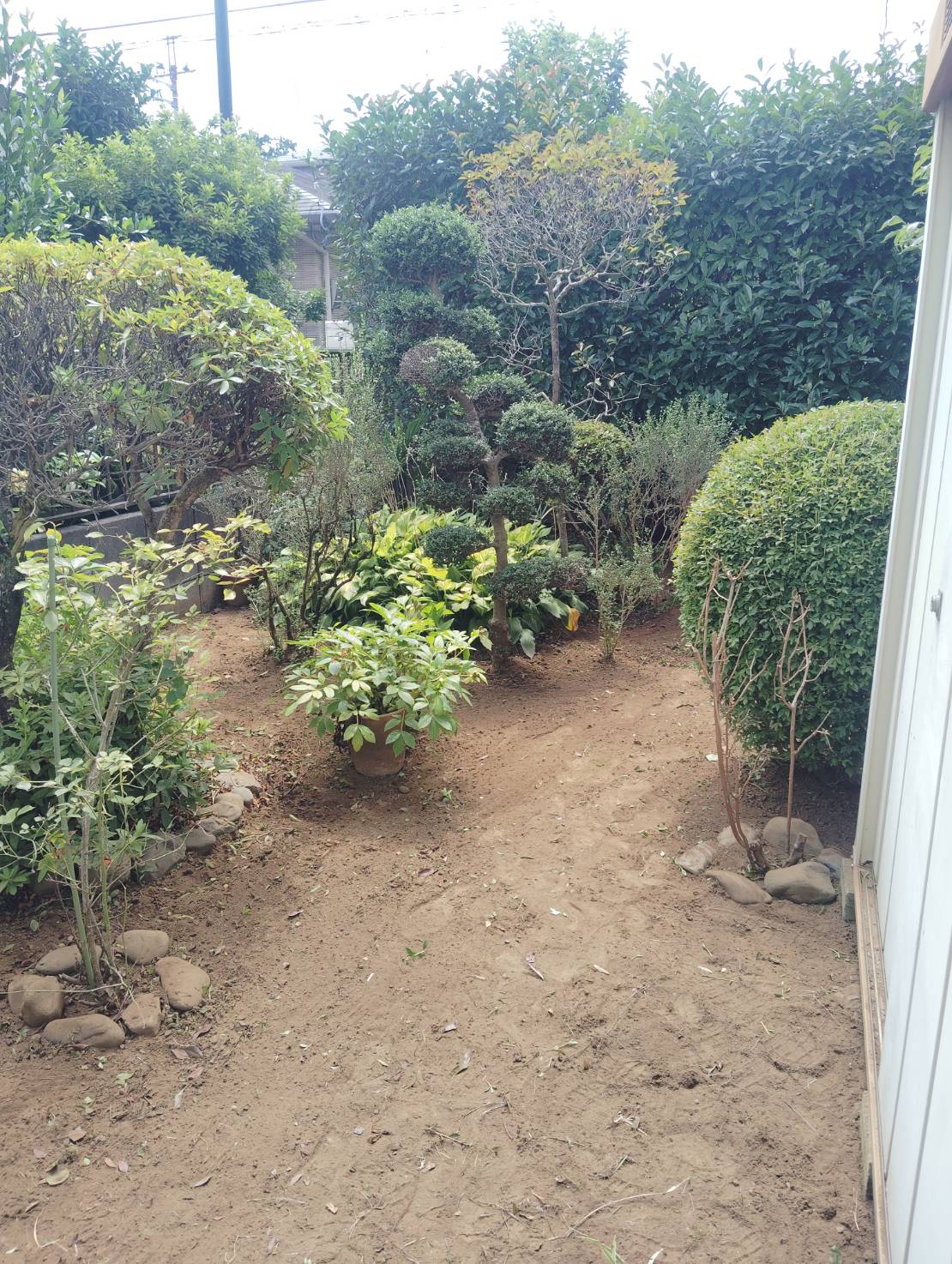 雑草が伸びてしまって手をつけられない