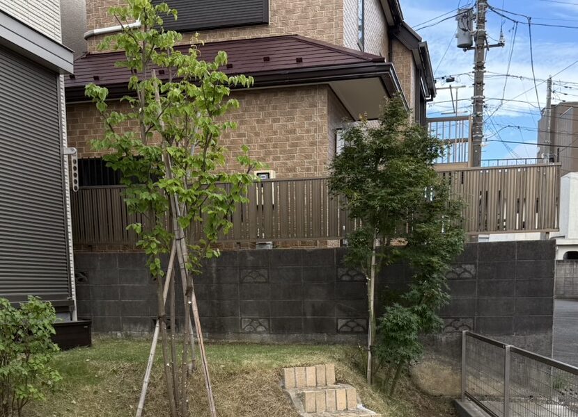 大きくならないように管理します