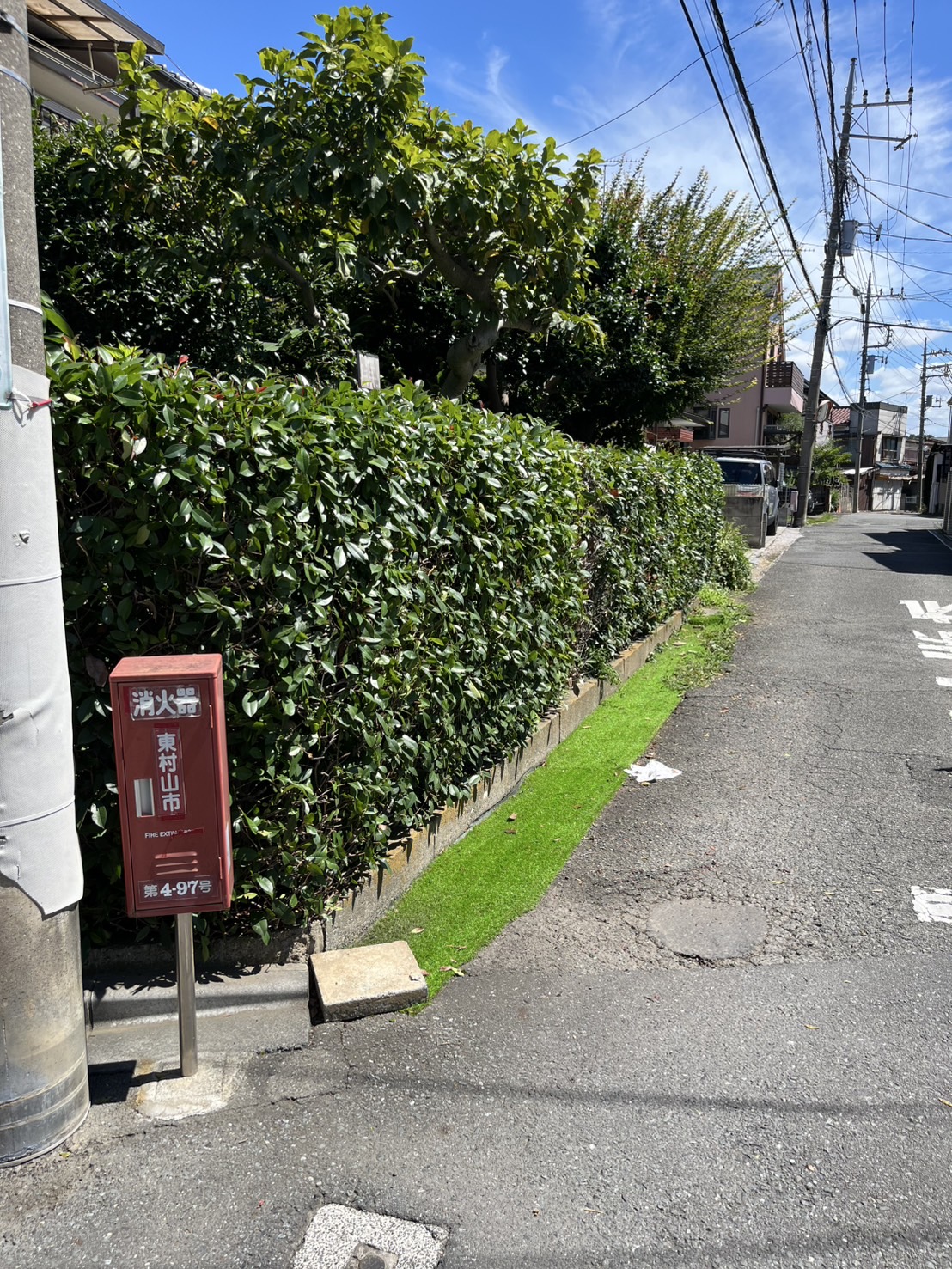形も整い健康な生垣に